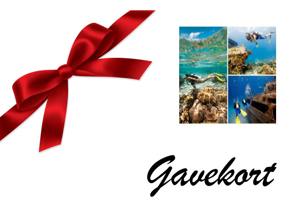 Gavekort - Pro Dive Dykkercenter thumbnail