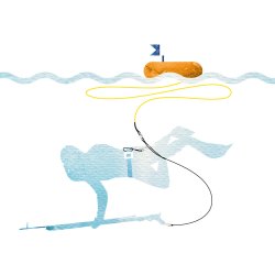 Frivannsliv bltekrog