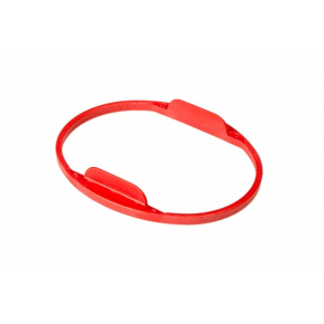 Support ring Antares